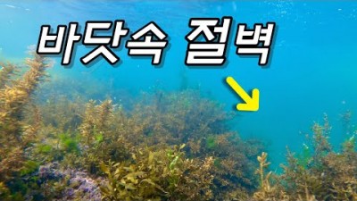 강원도 고성 청간해변 스노클링 포인트 가볼만한곳 추천