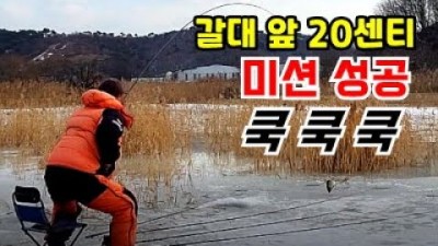 충남 홍성 홍성호 얼음낚시 붕어낚시 민물낚시 수초포인트 얼음낚시 조과 및 조황