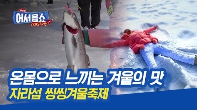 가평 자라섬 씽씽 겨울축제, 가평 송어 얼음낚시, 축제 기간 및 운영시간, 경기도 겨울축제, 가평 가볼만한곳