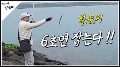 제주도 학꽁치낚시 방파제 학꽁치낚시 채비정보 및 조황정보, 학꽁치 회뜨는 방법