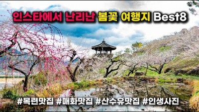 봄꽃 꽃구경 여행지 가볼만한곳, 경주 대릉원 오릉, 대구 청라언덕, 구례 화엄사 산수유마을, 광양 매화마을, 인생사진 찍기 좋은 국내여행 갈만한곳