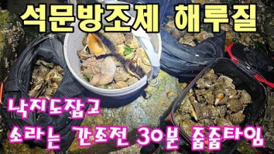 석문방조제 해루질 포인트, 서해안 소라 낙지 야간해루질 조과 및 포인트 가볼만한곳