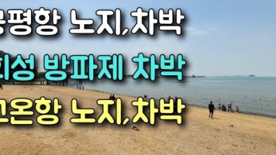 궁평항 노지차박캠핑 매향2리 어촌계 포구에 있는 궁평항 방파제 노지차박캠핑 고온항 노지차박 서울근교 무료노지차박캠핑 가볼만한곳