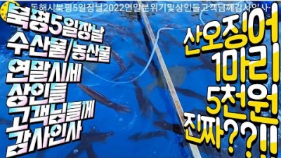 강원도 동해시 북평5일장(북평오일장) 국내 3대 오일장, 매월 3일과 5일에 열리는 북평민속시장 오일장 볼거리 먹거리 가볼만한곳