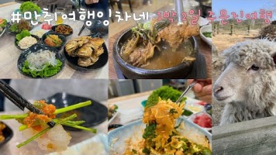 강릉 주문진 여행 갈만한곳, 주문진회센터 조은횟집 복어회 맛집, 주문진 행운뼈해장국 맛집, 강릉 바우카페, 대관령아기동물농장 1박2일 맛집여행 가볼만한곳