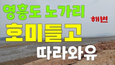 서울근교 영흥도 노가리해변 해루질, 개조개 굴따기 해루질 정보