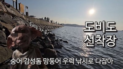 당진 도비도 선착장 숭어 감성돔 망둥어 우럭 찌낚시 원투낚시 바다낚시 포인트