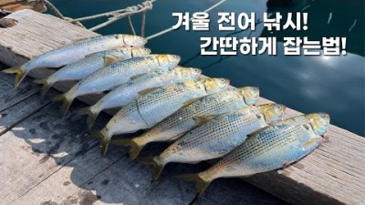 통영 풍화리 하늘채 선외기 전어낚시 채비 및 조황 정보