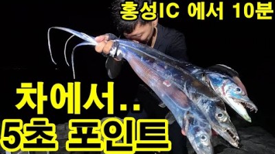 서산A방조제 풀치낚시 천수만 방조제 풀치낚시 포인트 및 조황정보