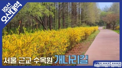 오산 가볼만한곳 물향기수목원, 지하철 타고 가는 꽃 여행, 서울근교 뚜벅이 가볼만한곳, 국내여행지 추천, 오대산역 물향기수목원 가족나들이 연인데이트코스 갈만한곳