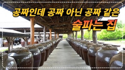 포천 가볼만한곳 배상면주가 산사원 느린마을막걸리 전통술박물관 인스타 감성 스폿과 공짜 술 받는법 할인방법 및 혜택