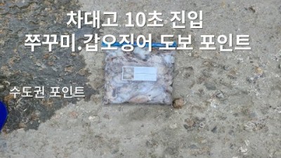 인천 쭈꾸미낚시 포인트 영흥도 진두선착장 도보권 갑오징어낚시 서울근교 쭈갑낚시 포인트 추천