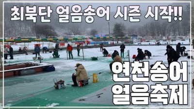 연천 전곡낚시터 송어낚시, 연천송어얼음축제, 송어맨손잡기, 눈썰매, 겨울 연천 송어낚시 축제 가볼만한곳