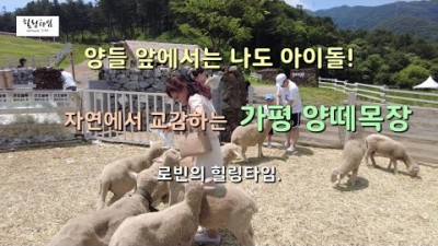 가평 양떼목장 아이들과 가볼만한곳, 서울근교 가족나들이, 사계절 썰매장, 동물 먹이주기 체험, 수도권 데이트코스 나들이 갈만한곳 추천