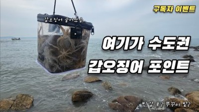 인천 소무의도 워킹 갑오징어 쭈꾸미낚시 포인트 조황정보