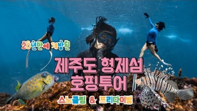 제주도 형제섬 호핑투어 프리다이빙 스노클링 정글의법칙 촬영지 가볼만한곳 추천