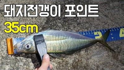 부산 구덕포 도보권 전갱이 던질찌 낚시포인트 전갱이낚시 채비, 조황 정보