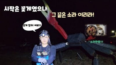 충남 서산 벌천포해수욕장 꽃게 소라 해삼 해루질 포인트 야간 해루질 조과정보