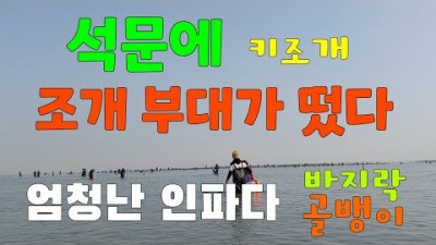 당진 석문방조제 바지락 해루질 조개 해루질, 마이너스 물때 해루질 포인트 정보