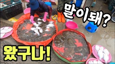 소래포구 난전 어시장 해산물 시세정보, 봄도다리 전국 최저가 간재미 횟감 단돈 만원 인천 소래포구 난전어시장 가볼만한곳