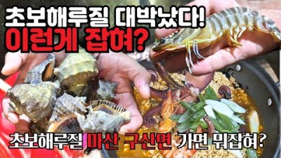 창원 마산 해루질 포인트, 새우 오도리, 문어, 소라, 남해 해루질포인트 가볼만한곳