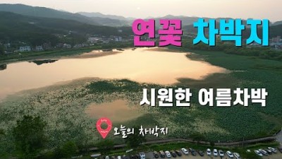 서울근교 화성 보통저수지 연꽃밭 소나타 차박 캠핑 연꽃 차박지 가볼만한곳 추천