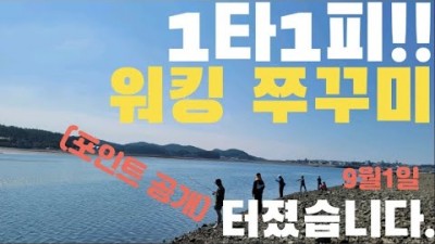 태안 안면도 드르니항 쭈꾸미낚시 도보권 포인트 조황정보 채비정보