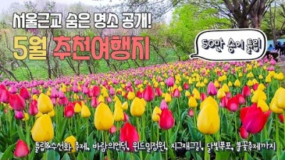 아산 숨은명소 가볼만한곳 아산 피나클랜드 수목원 불꽃축제 튤립 수선화 축제 윈드밀가든 지그재그길 아산여행 서울근교 아산여행 갈만한곳