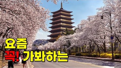 경주 기차여행 당일치기 국내여행 가볼만한곳, 불국사 벚꽃, 황룡원 중도타워, 경주여행 경주맛집 인스타 핫플 가볼만한곳