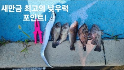 새만금방조제 우럭낚시 루어낚시 포인트 메탈지그 채비법 우럭 공략법 서해안 고군산군도 바다낚시 포인트