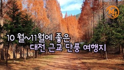 대전근교 단풍여행 가볼만한곳 옥천 장령산, 논산 온빛자연휴양림 메타세콰이아 숲과 호수, 대전근처 나들이 여행 갈만한곳 추천