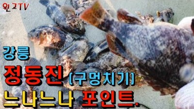 강릉 정동진 심곡 구멍치기 바다낚시, 강릉 돌우럭 생활낚시 포인트, 동해바다 정동진 구멍치기 바다낚시 조황정보