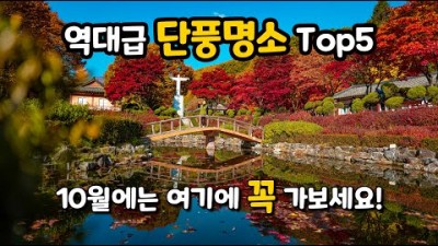 10월에 가볼만한 단풍 명소 추천 내장산 단풍터널 배론성지 문광저수지 성균관대학교 명륜당 독립기념관단풍나무숲길 가을 단풍여행 가볼만한곳