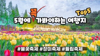 5월에 반드시 가봐야하는 여행지 불꽃축제 중랑장미공원 장미축제 튤립축제 피나클랜드수목원 곡성 섬진강기차마을 휴애리자연생활공원 서천 마량포구 국내여행 가볼만한곳