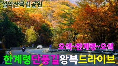 설악산 한계령 단풍길 드라이브코스 오색령 양양 단풍여행 가볼만한곳