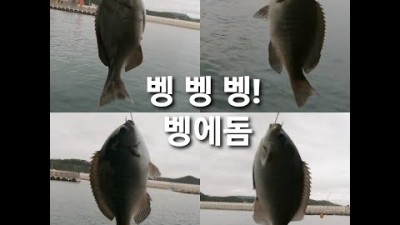 포항 신창방파제 벵에돔 낚시포인트 경북 도보권 민장대 바다낚시 가볼만한곳