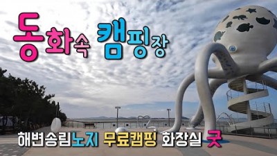 노지 캠핑 차박 천국 화장실이 깨끗한 바닷가 넓은 송림아래 차박성지 동화같은 놀이공원과 무인카페가 있는 캠핑장 국내여행 무안여행 조금나루 낙지공원 서해노을길