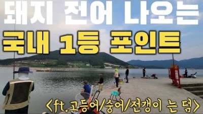 창원시 마산 전갱이 고등어 전어낚시 포인트 시락방파제 도보권 남해안 바다낚시 포인트 추천