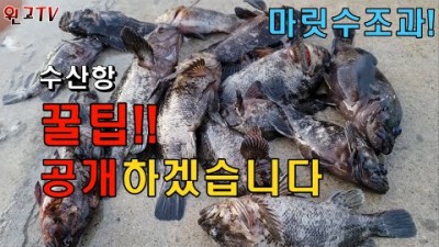 강원도 양양 수산항 구멍치기낚시 바다낚시, 돌우럭 놀래미 대박 포인트, 동해바다 원투낚시 조황정보