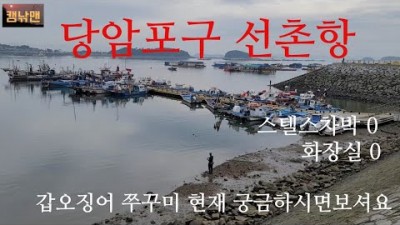 충남 당암포구 선촌항 갑오징어 쭈꾸미 워킹낚시 갑오징어채비 쭈꾸미채비 서해 바다낚시포인트 추천