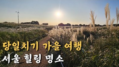 가을 당일치기 여행 서울 힐링 명소 상암동 하늘공원 억새축제, 용양봉저정공원, 창덕궁 후원, 서울여행 가볼만한곳 추천