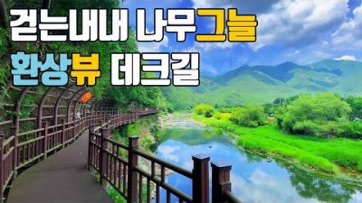 충북 영동 월류봉 둘레길 물 맑고 걷기 좋은 8.4km 트레킹 코스 가볼만한곳 추천