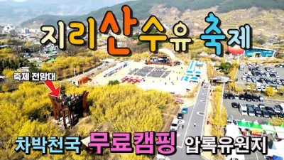 국내여행 구례 산수유 축제, 무료 캠핑 차박 천국 압록유원지 소개, 산수유 축제기간 3월11일부터 19일 구례산수유축제