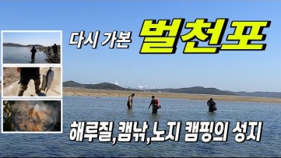 벌천포해수욕장 캠낚 해루질 노지 캠핑의 성지, 소라해루질 미역해루질 바다낚시 충남 해루질 가볼만한곳