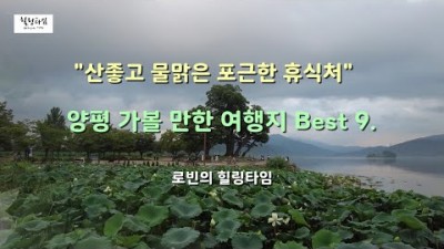 서울근교 양평 가볼만한곳 베스트9, 두물머리, 세미원, 황순원문학촌 소나기마을, 곤충박물관 들꽃박물관, 더그림, 청춘뮤지엄, 용문사, 수도권 여행 가족나들이 데이트코스 갈만한곳 추천