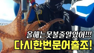 통영 사량도 문어낚시 선상낚시 대박조황 문어 배낚시 채비법 및 운용법