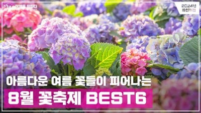 꽃축제 가볼만한곳, 화담숲 여름 수국축제, 태백 해바라기축제, 제주 휴애리 유럽 수국축제, 율봄식물원 봉선화 축제, 장항 맥문동 꽃 축제, 아이들과 가볼만한 축제 추천