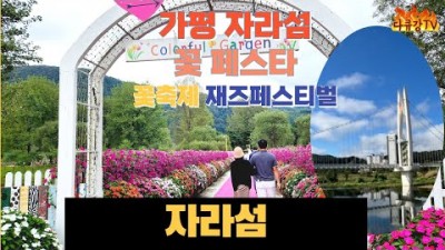 가평 자라섬 꽃축제 재즈페스티벌 꽃페스타 가을 꽃축제 주차 입장권 정보