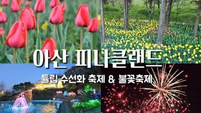 아산 가볼만한곳 튤립축제 수선화축제 불꽃축제 '피나클랜드 수목원' 국화꽃 향기 가득한 힐링 쉼터, 가족나들이 연인데이트코스 아산 여행 갈만한곳