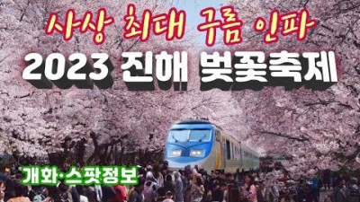 진해벚꽃축제 진해군항제 가볼만한곳, 세계적 벚꽃 명소, 벚꽃 개화소식, 스팟정보, 진해 군항제 축제정보